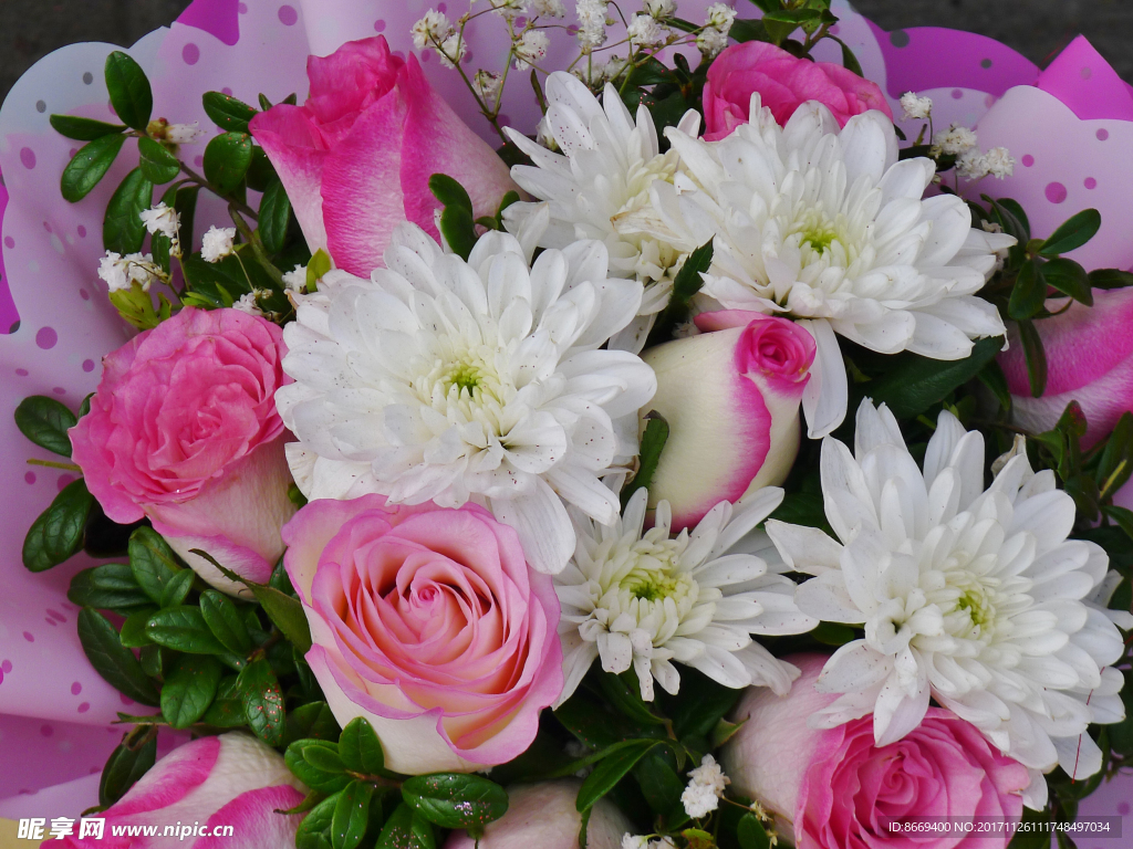 花束玫瑰菊花花卉特写