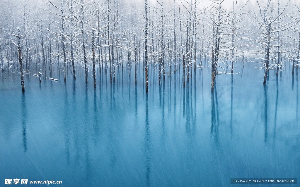 冰天雪地  冬天  雪景