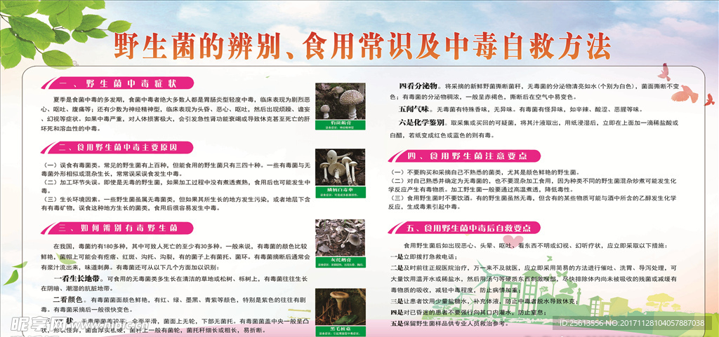 野生菌健康教育宣传栏