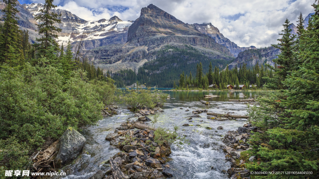 加拿大公园山湖泊云杉属