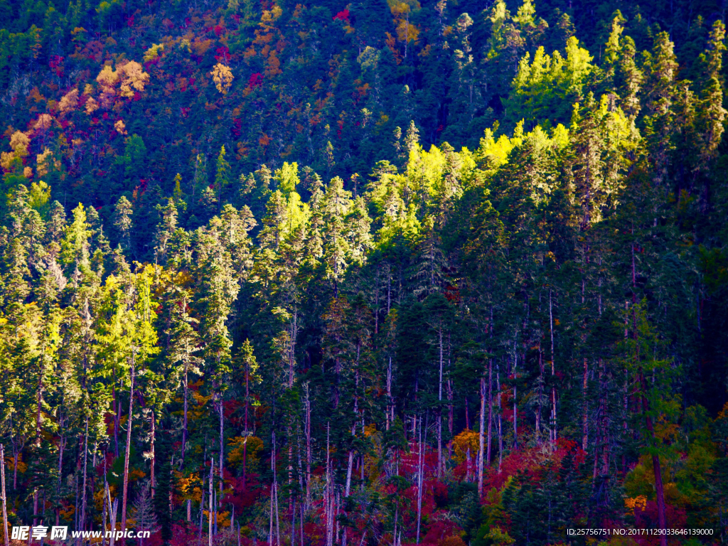 雅鲁藏布江大峡谷