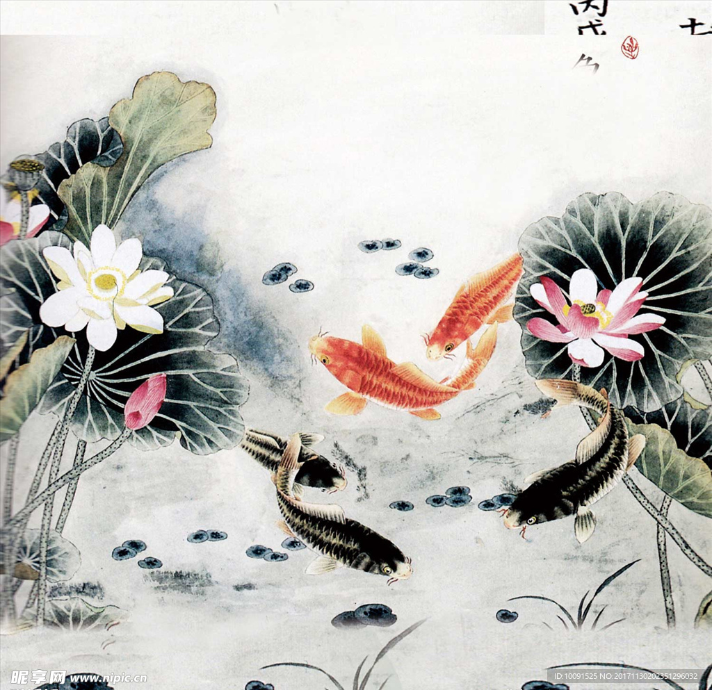 花鸟画 国画 国画花鸟 鸟语花