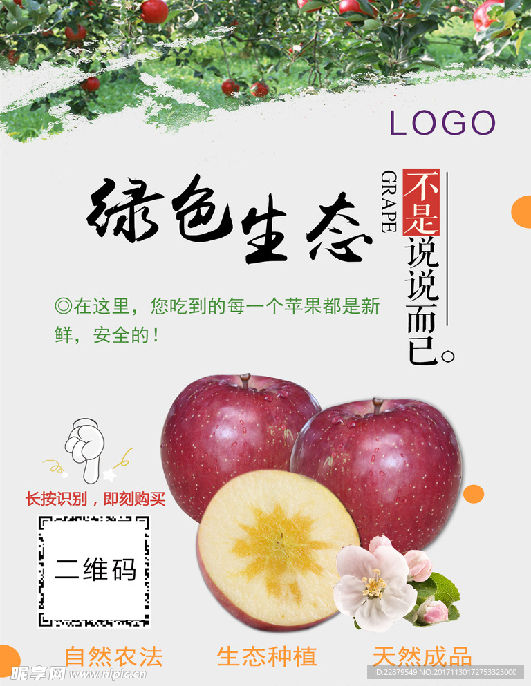 盐源苹果宣传海报