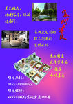 开盘彩页背面