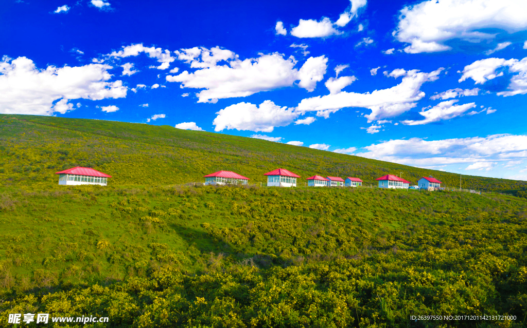 积石山县黄草坪