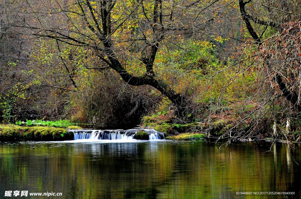 森林溪流瀑布图片