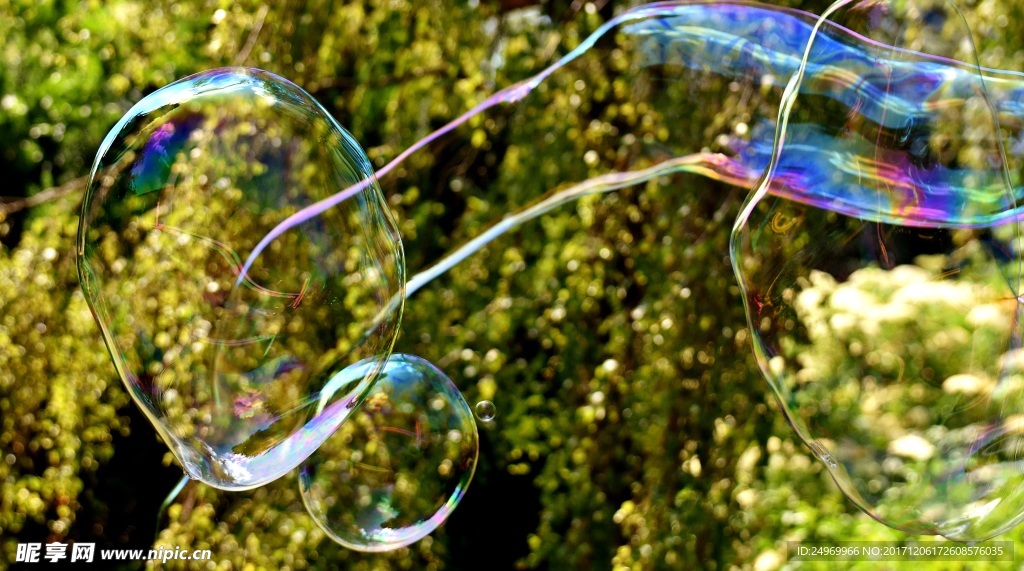 多彩泡泡