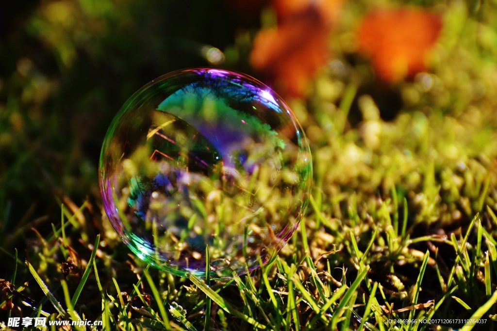 多彩泡泡