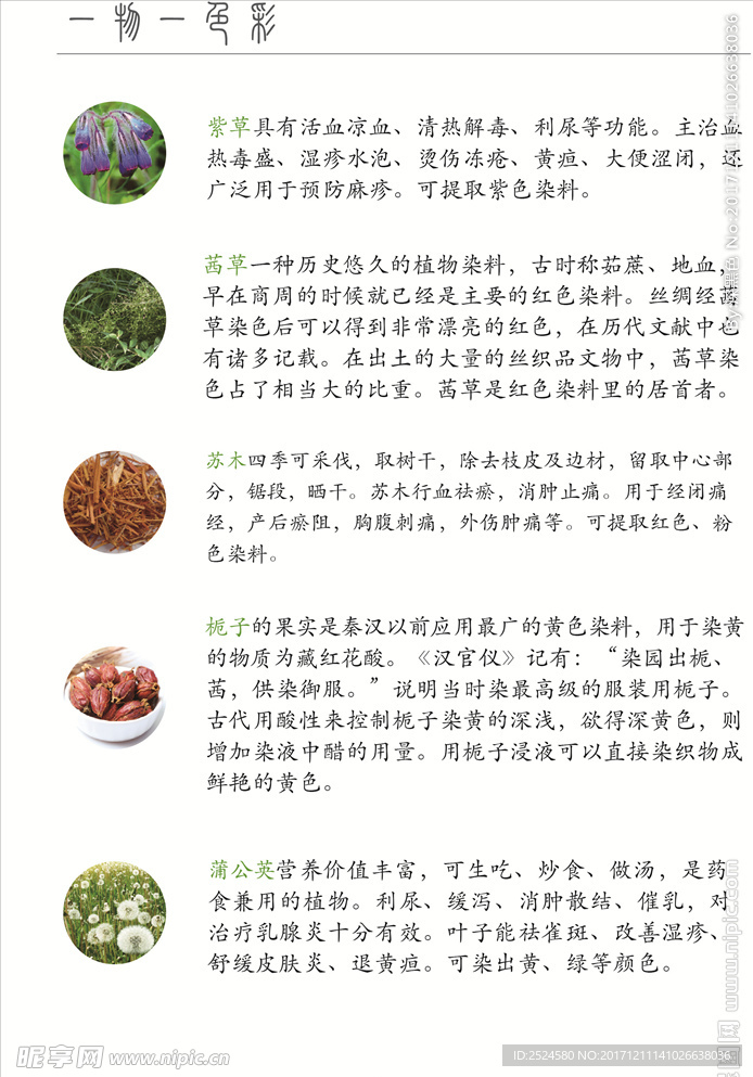 草木染染料简介