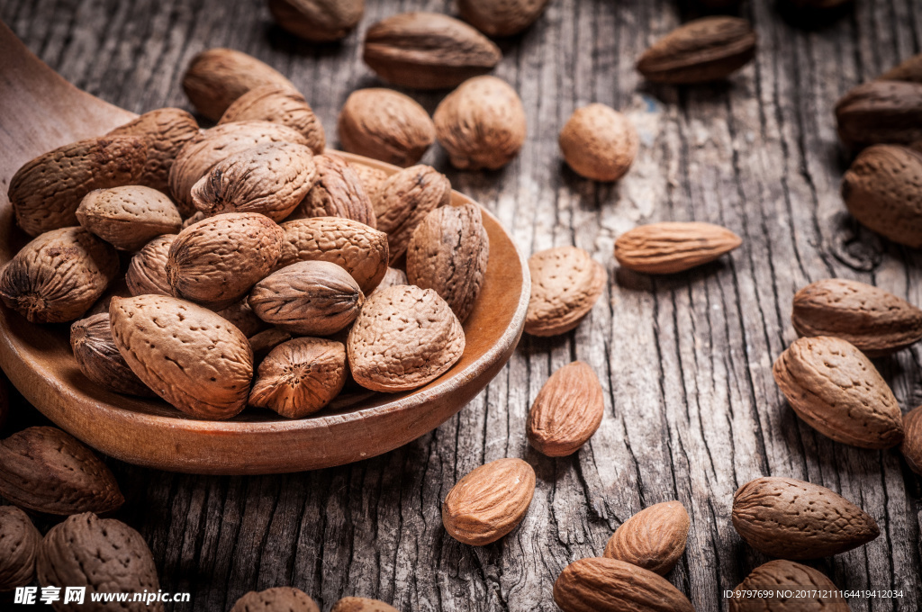 高清 坚果 高端 大气 内涵