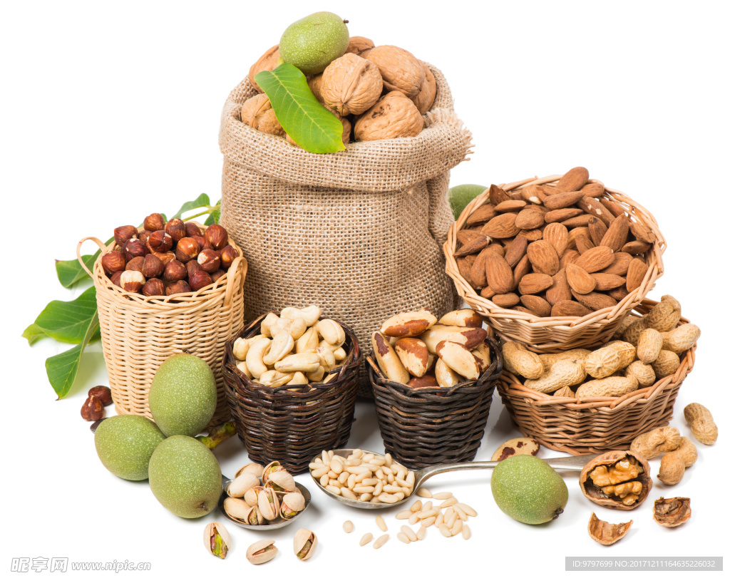 高清 坚果 高端 大气 内涵