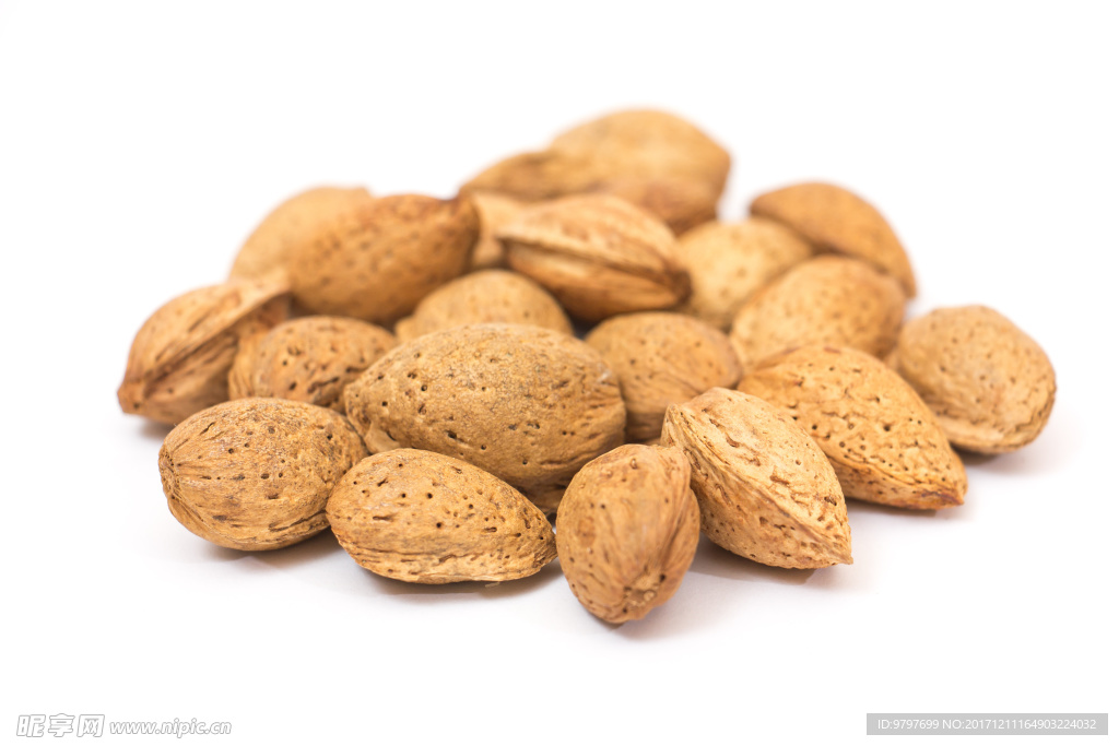 高清 坚果 高端 大气 内涵