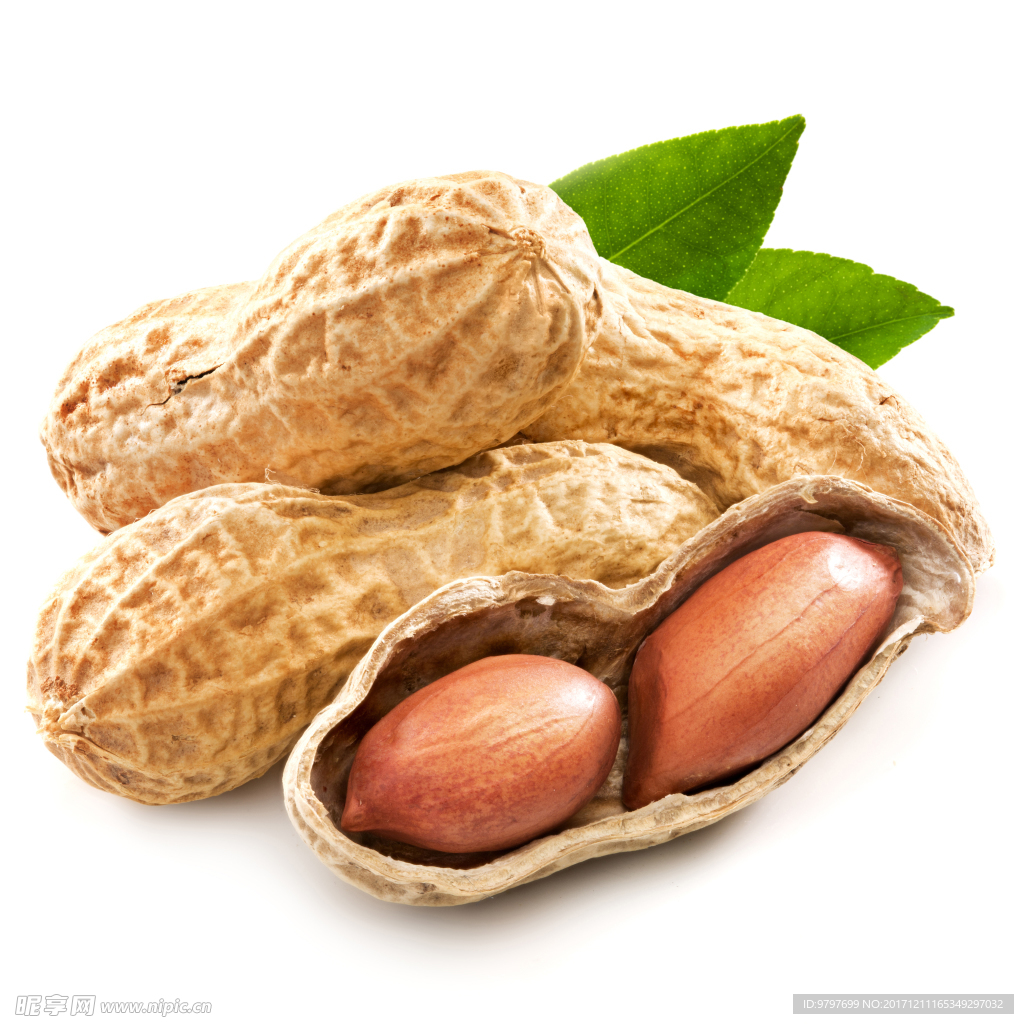 高清干果图片 高清 格调 优雅