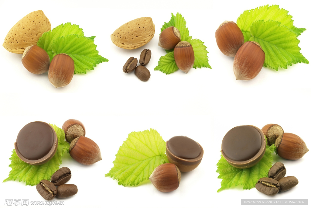 高清 坚果 高端 大气 内涵