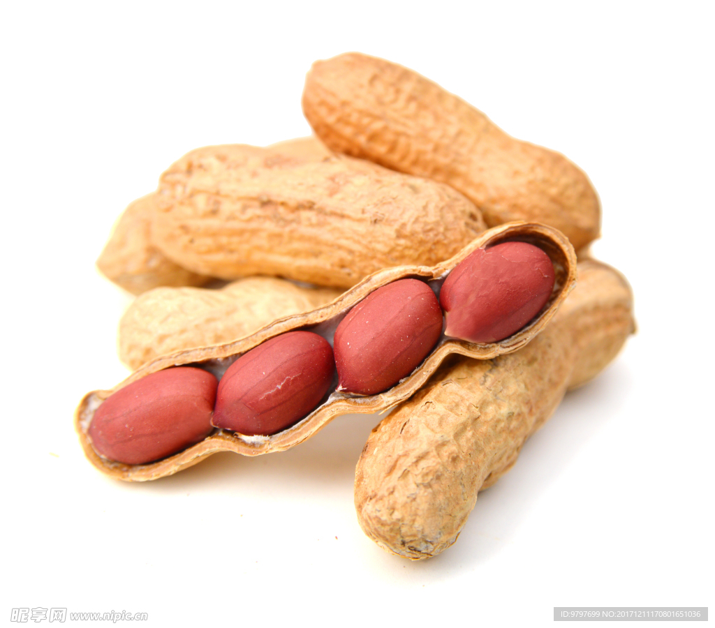 高清干果图片 高清 格调 优雅