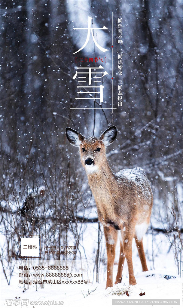 二十四节气大雪