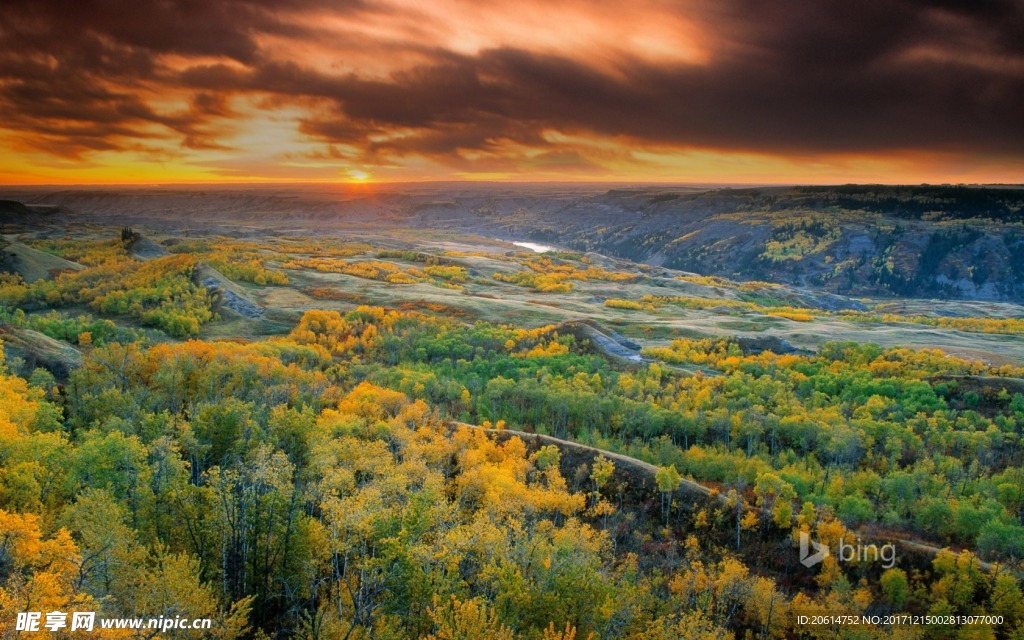 夕阳下的草原风景