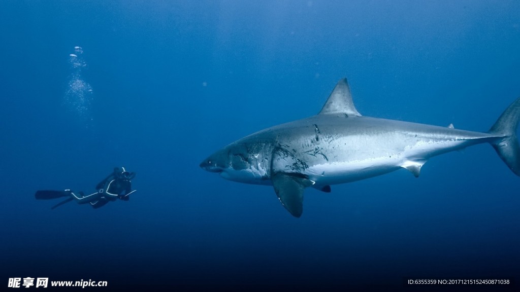 绿色生态自然景观