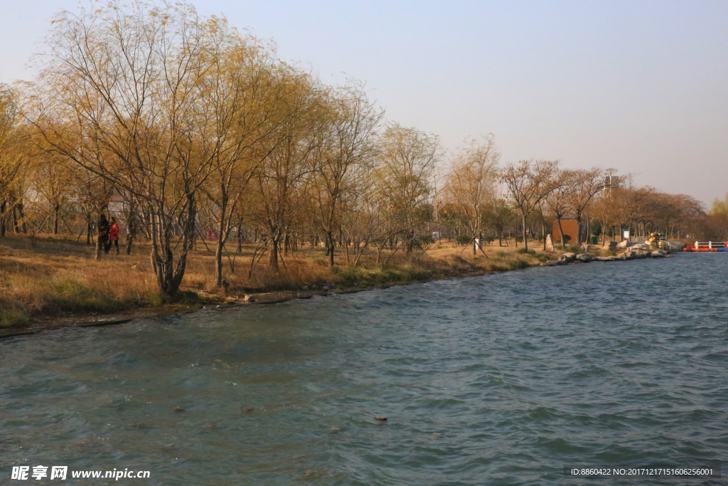 冬天湖边树木