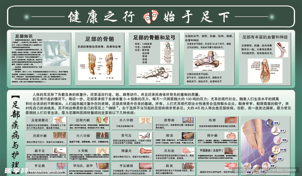 健康之行  始于足下