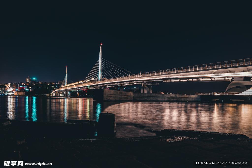 夜色下的大桥风景