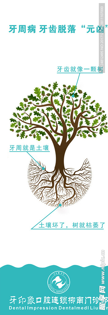 牙周病宣传展架