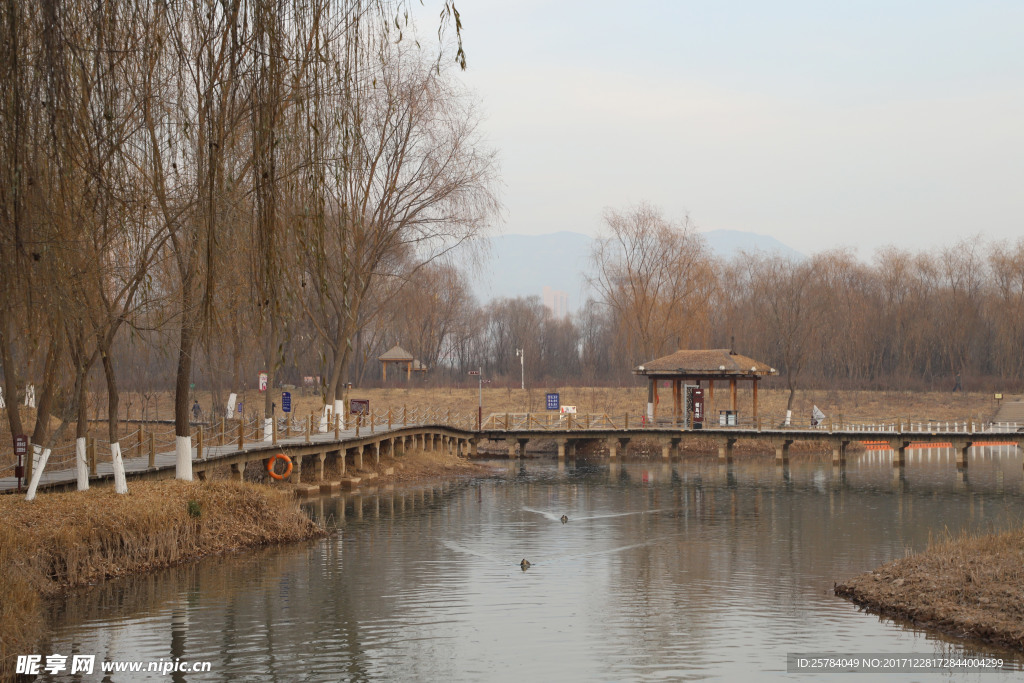 兰州银滩湿地公园冬景