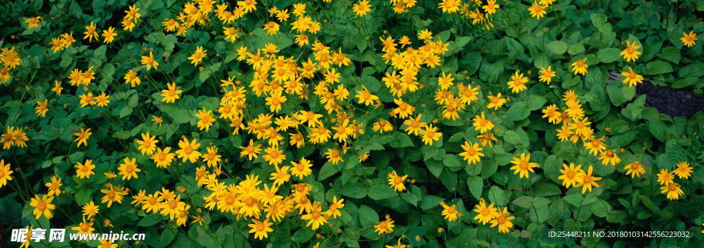 自然风景高清图