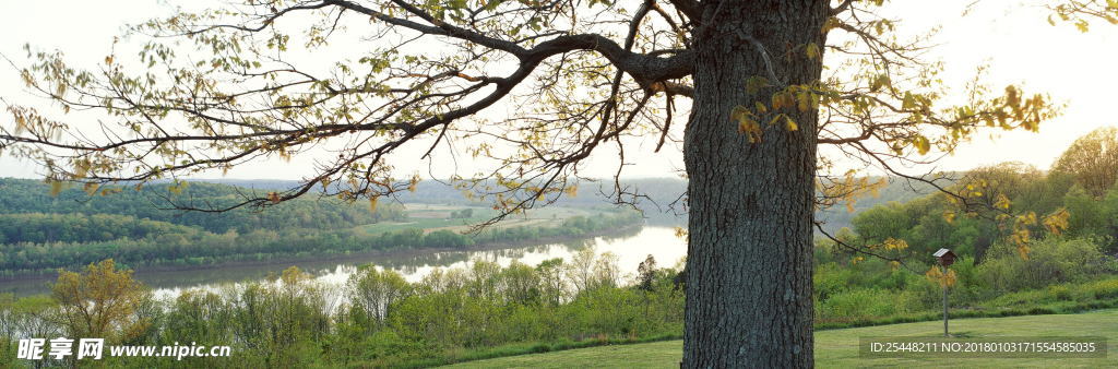 自然风景高清图