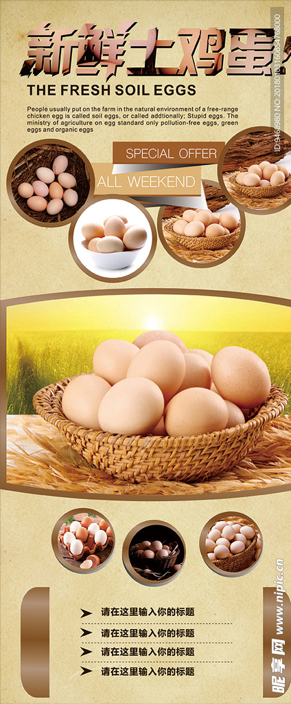 鸡蛋展架