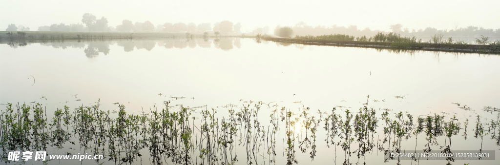 自然风景高清图