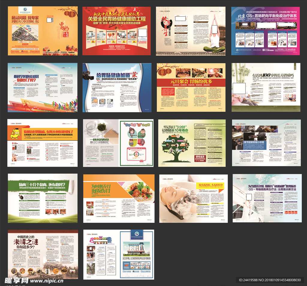 精品肠胃杂志 肠胃医疗杂志