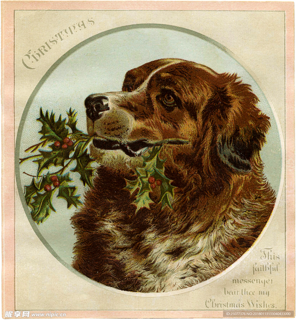 复古小狗装饰画图片