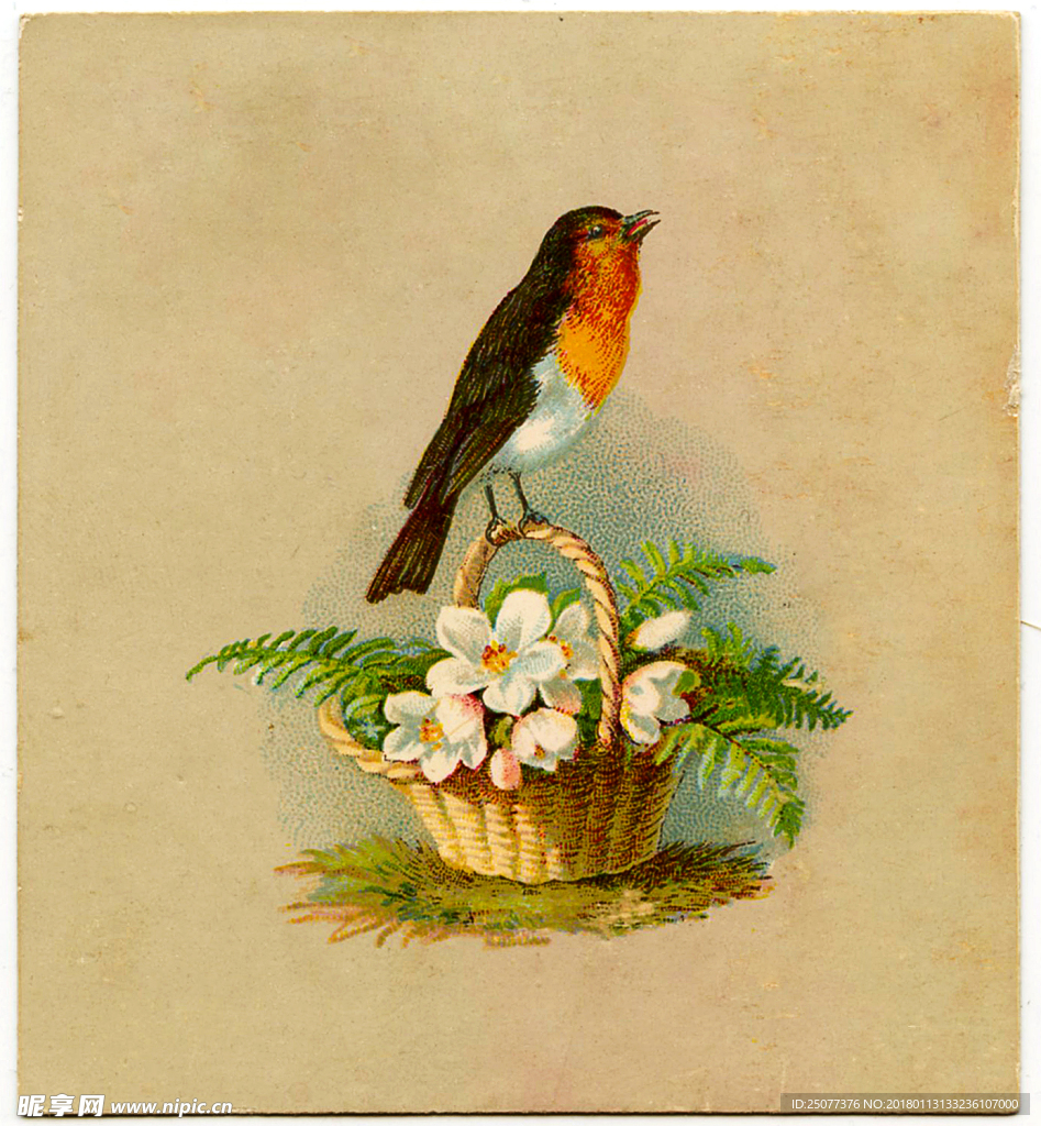 复古鸟类装饰画图片