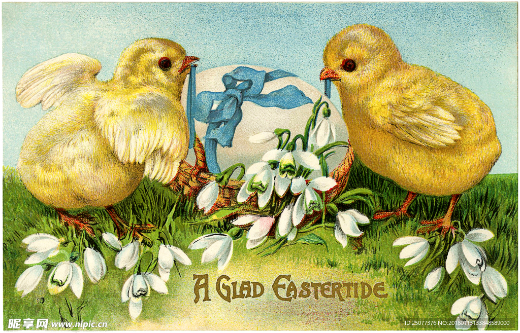 复古鸟类装饰画图片