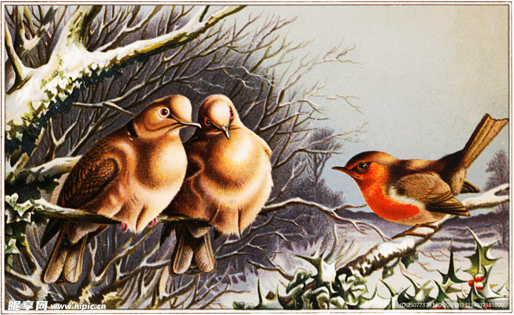 复古鸟类装饰画图片