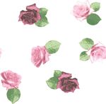 女装花卉花型白底红花