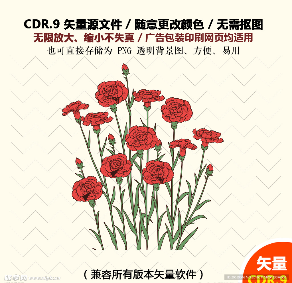 手绘浪漫康乃馨花束矢量图