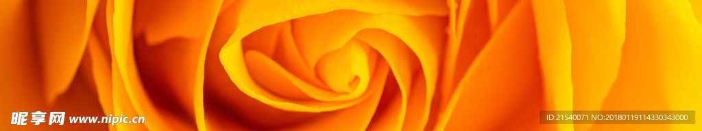 黄色背景 浅黄背景