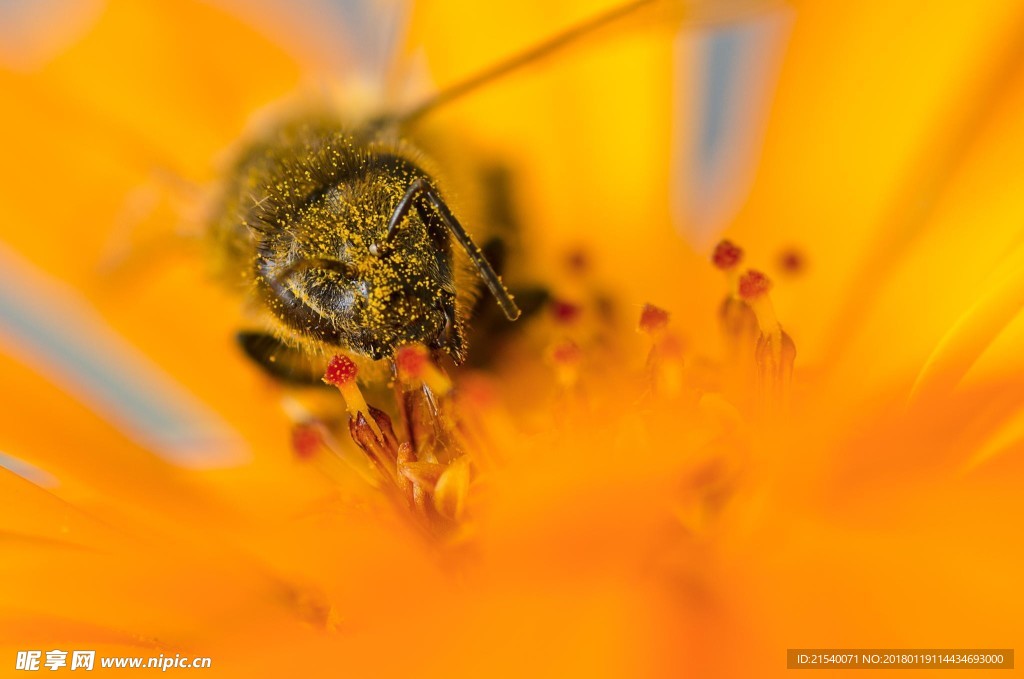黄色背景 浅黄背景