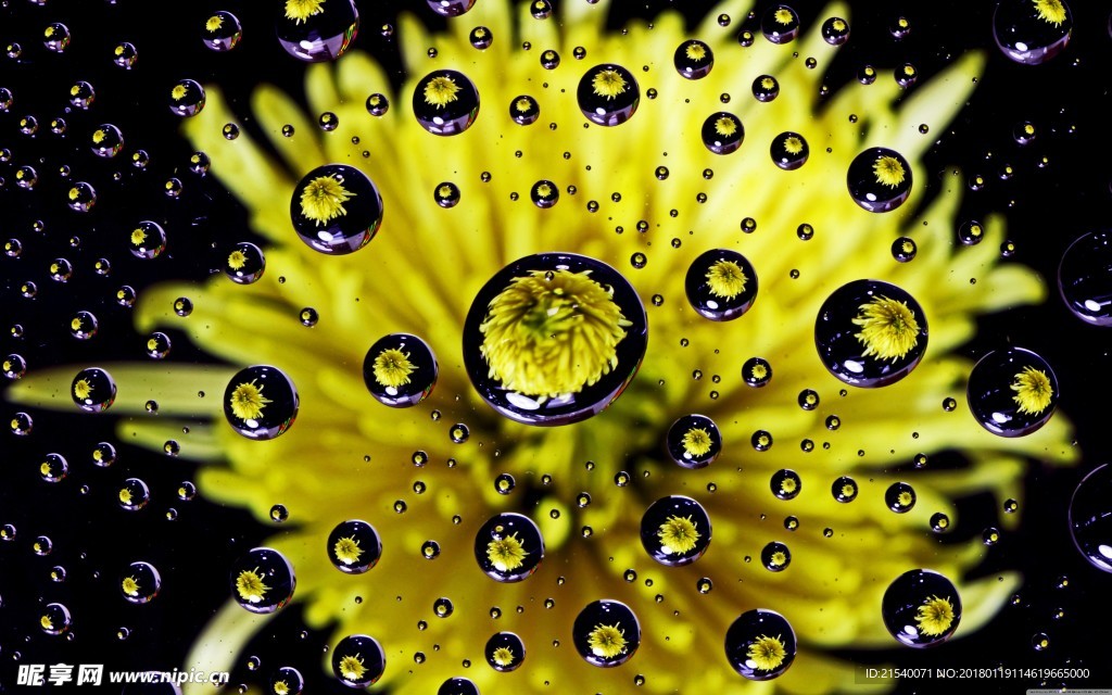 黄色背景 浅黄背景