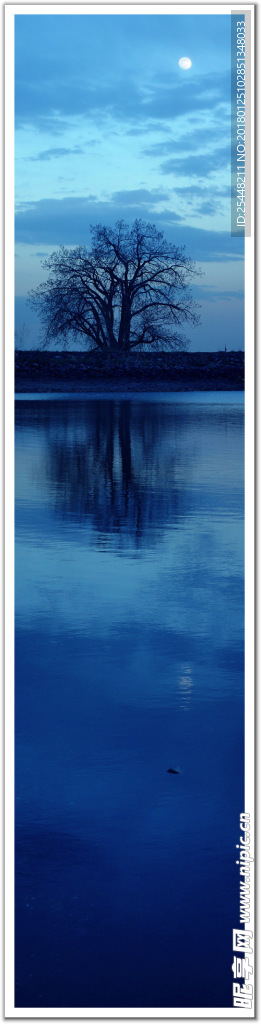 自然风景全景图