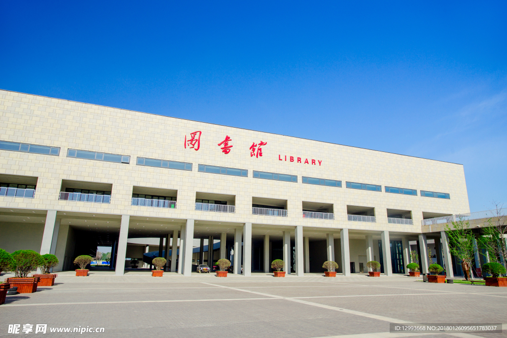 图书馆大楼照片