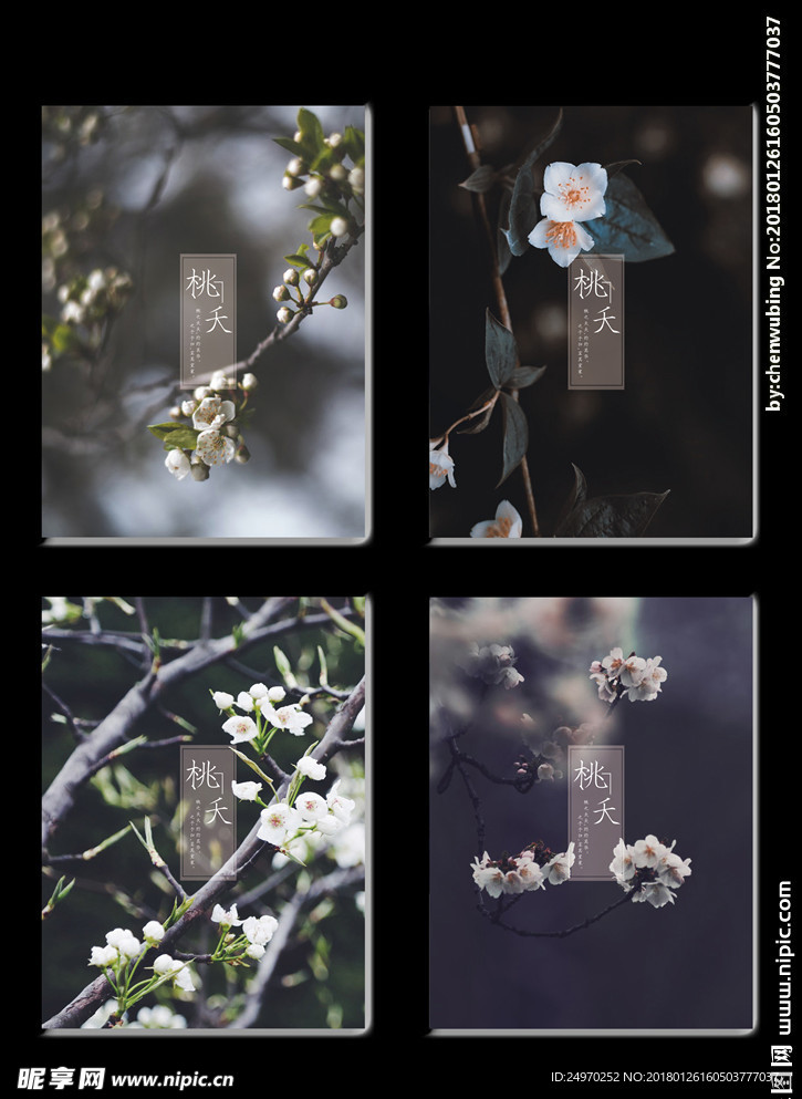 本 封面  花 风景 桃夭