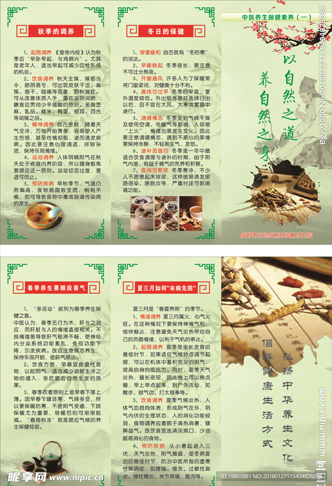 中医养生宣传单