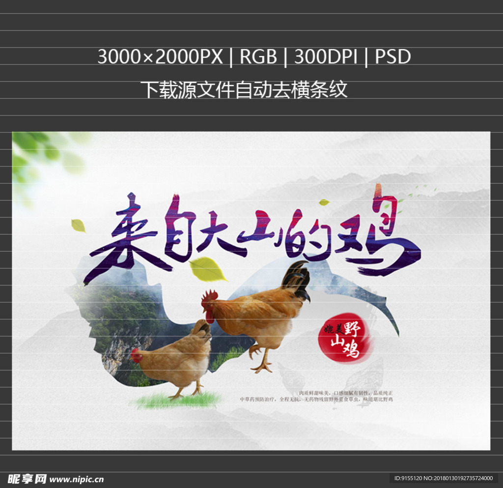 土鸡海报 山鸡海报