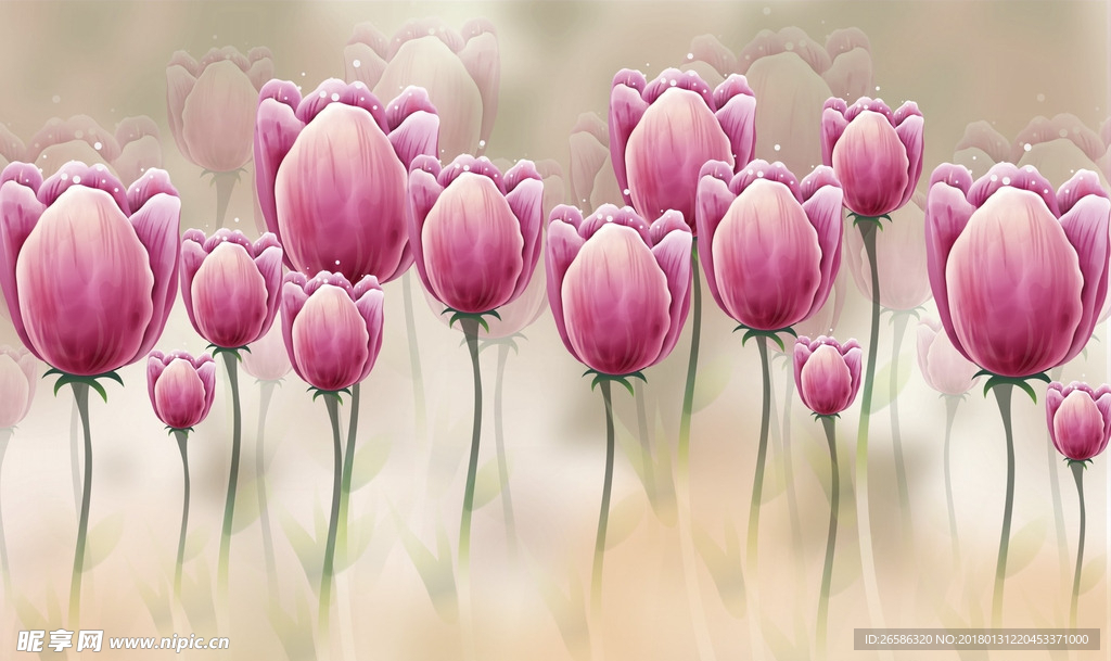 玫瑰花电视背景墙