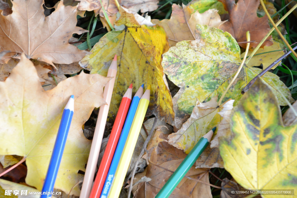 彩色铅笔 铅笔 文具 绘图笔