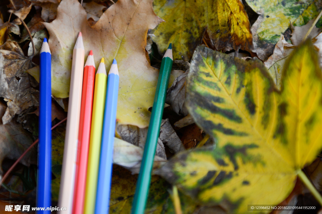 彩色铅笔 铅笔 文具 绘图笔