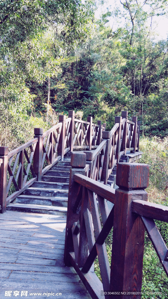 夏日公园一角小木桥摄影